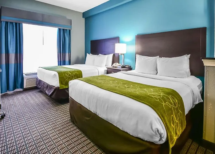 Comfort Suites Tampa / Brandon