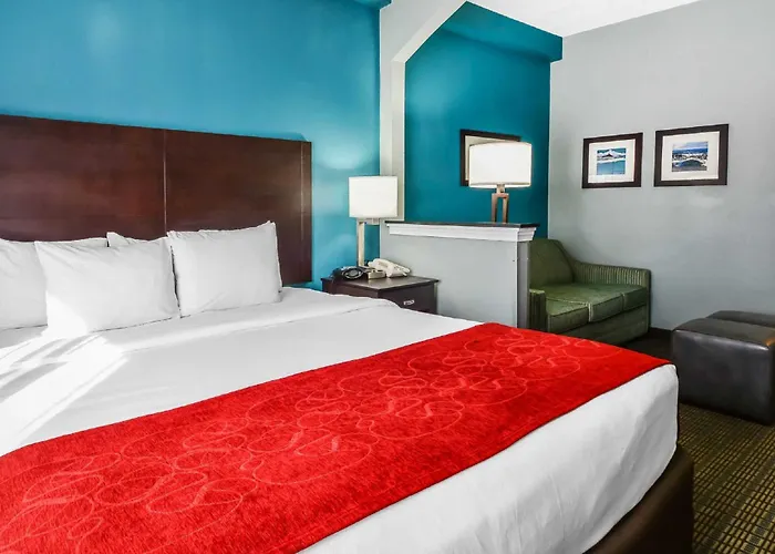 Comfort Suites Tampa - Brandon